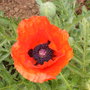 Wed_21_may_08_003