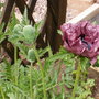 Wed_21_may_08_002