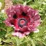 Wed_21_may_08_001