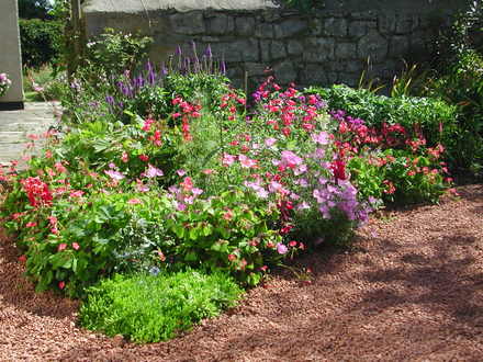 Border in sunlight