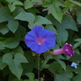 20080522_09