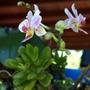 20080522_61