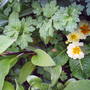 Picture_037.jpg