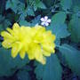 Picture_033.jpg