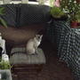 Tequila, the evil plant muncher