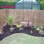 Backborder2