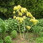 May_24th_2008_012