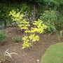 May_24th_2008_015