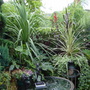 Garden-_august_2006
