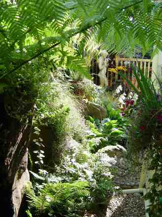 The rocky outcrop and woodland garden.