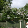 Brens_photos_410