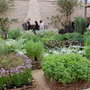 Fantastic kitchen garden