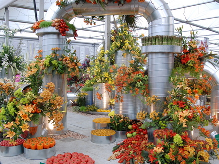 A garden for the future? Chelsea 2008