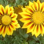 28th_april_08_074