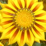 28th_april_08_075