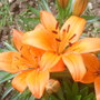 28th_april_08_079