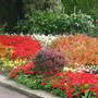 Need_gardens_001