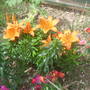 28th_april_08_107