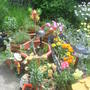 The Patio