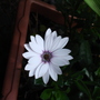 Dsc00878