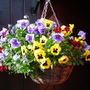 Dsc00660