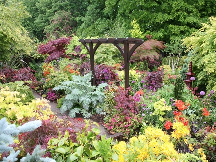 Pergola 25 May 08.jpg