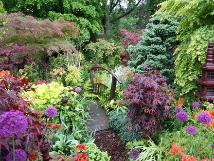Lower garden 25 May 08.jpg