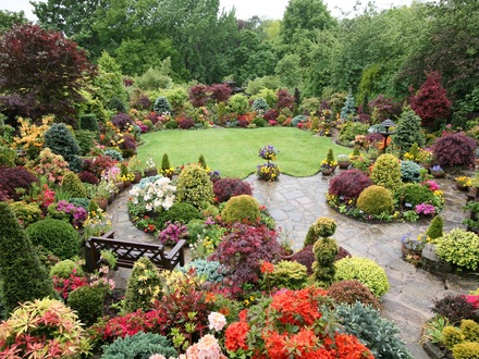 Upper garden 25 May 08