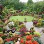 Upper_garden_25_may_08