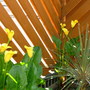 Imported_Photos_00055.jpg