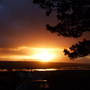 Corseside_sunset_jan08_001