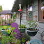 Stand for Hanging Baskets