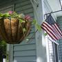 Hanging Basket & flag