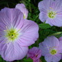 5-13-08_005