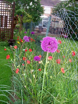 may 2008