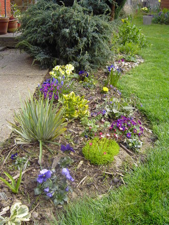 A border in my back garden, early spring 2008