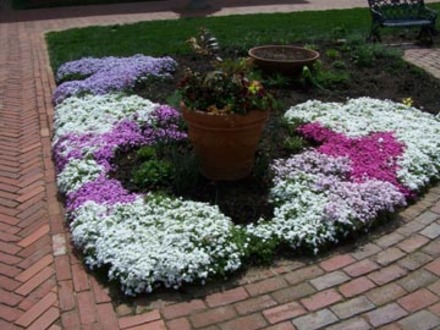 biltmore corner arrangement
