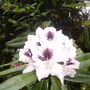 Pict0190