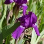Sg1l2456