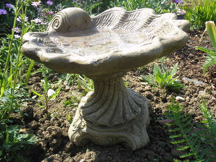 My Bargain bird bath.