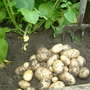 Dscf0004