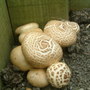 Dscf0014