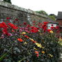 Dscn0880