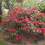 Pict0203