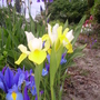 Pict0194