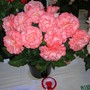 Mrs