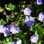 Dscn0816