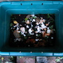 Compost Newsflash
