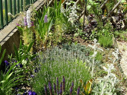 Blue bed in front garden