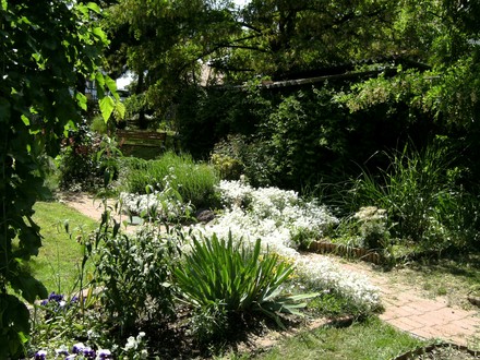 Current view looking towards pig house